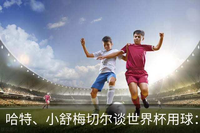 哈特、小舒梅切尔谈世界杯用球：这球肯定有问题，远射太多了